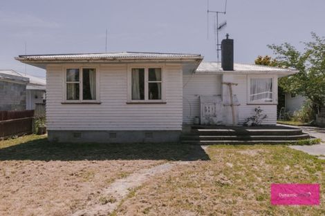 Photo of property in 57 Kettle Avenue, Awapuni, Palmerston North, 4412