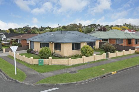 Photo of property in 92 Warwick Street, Feilding, 4702