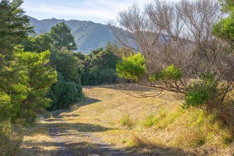 Photo of property in 17 Jacks Bush Road, Waikanae, 5391