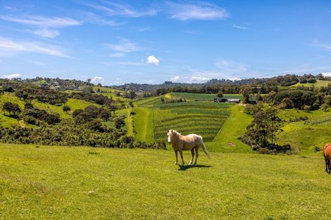 Photo of property in 88a Onetangi Road, Waiheke Island, 1971