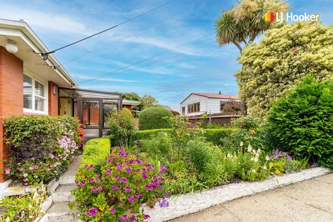 Photo of property in 28a Dundonald Street, Tainui, Dunedin, 9013