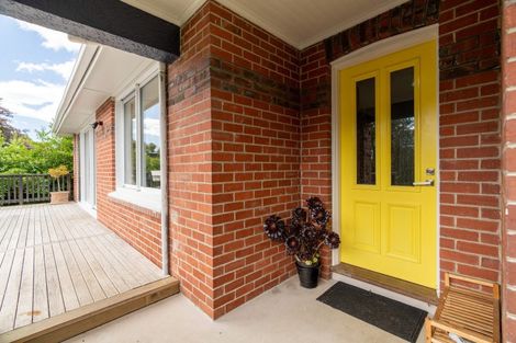 Photo of property in 43 Melrose Street, Roslyn, Dunedin, 9010