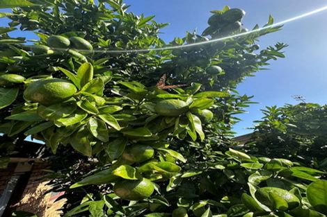 Photo of property in 2 Second Avenue, Avenues, Whangarei, 0110