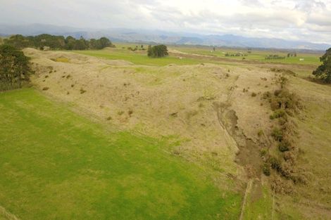 Photo of property in 338 Foxton Shannon Road, Foxton, 4893