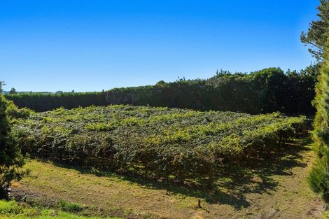 Photo of property in 31 Clark Cross Road, Otara, Opotiki, 3197