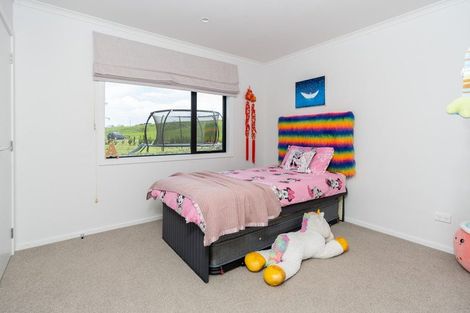 Photo of property in 133 Robson Road, Ngahinapouri, Hamilton, 3290