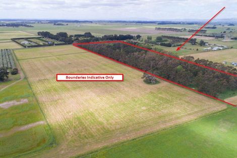 Photo of property in 270 Motuiti Road, Foxton, 4891