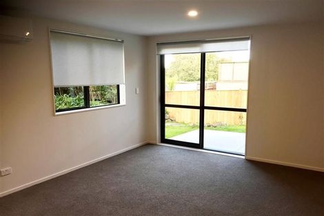 Photo of property in 49b Panorama Road, Mount Wellington, Auckland, 1060