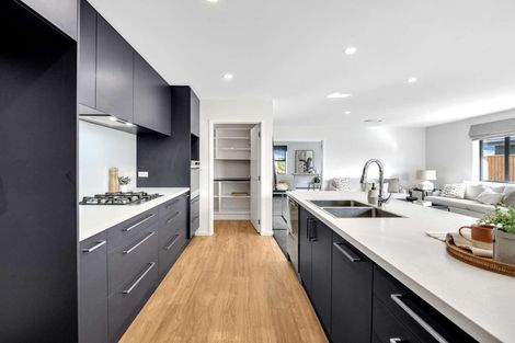 Photo of property in 29 Whitehorn Drive, Lincoln, 7608