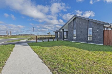 Photo of property in 87 Clausen Avenue, Leeston, 7632