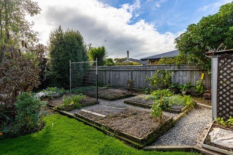 Photo of property in 5 Ida Street, Redwoodtown, Blenheim, 7201