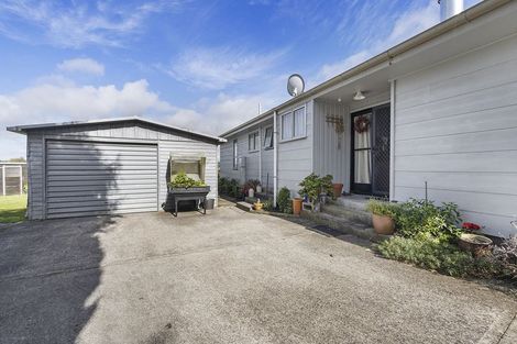 Photo of property in 23 Barnett Street, Putaruru, 3411