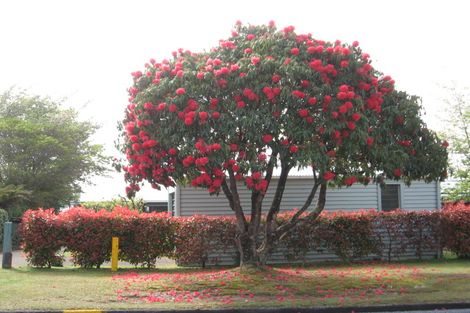 Photo of property in 119 Koutu Road, Kawaha Point, Rotorua, 3010