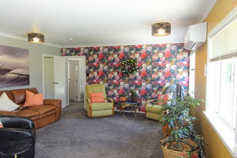 Photo of property in 170 Foxton Shannon Road, Foxton, 4893