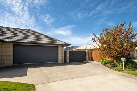 Photo of property in 37 Maeburn Street, Witherlea, Blenheim, 7201