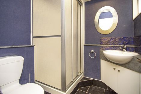 Photo of property in 43 Dittmer Drive, Awapuni, Palmerston North, 4412