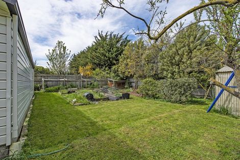 Photo of property in 8 Saint James Street, Southbridge, 7602