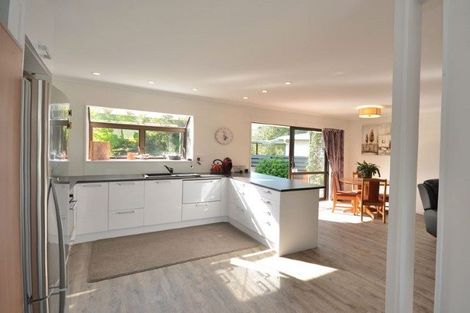 Photo of property in 22a Kaimai Place, Hairini, Tauranga, 3112