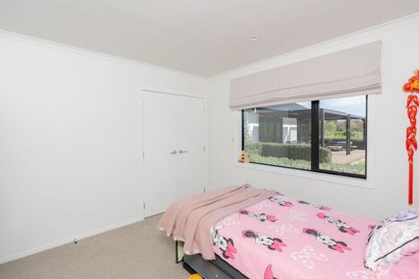 Photo of property in 133 Robson Road, Ngahinapouri, Hamilton, 3290