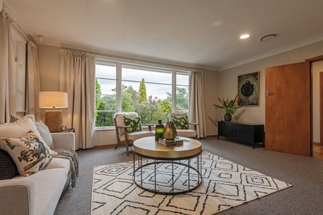 Photo of property in 86 Guy Avenue, Takaro, Palmerston North, 4410