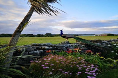 Photo of property in 121 Muir Avenue, Mangere Bridge, Auckland, 2022