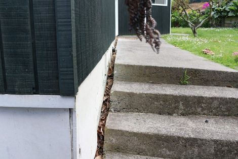 Photo of property in 36 Parkes Avenue, Saint Johns Hill, Whanganui, 4501