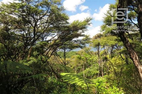 Photo of property in 492 Tuateawa Road, Tuateawa, Coromandel, 3583