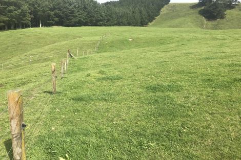 Photo of property in 1749 Tutukau Road, Ohakuri, Reporoa, 3083