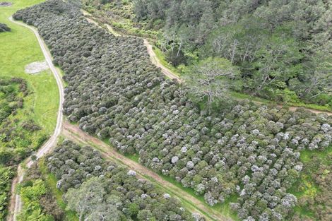 Photo of property in 91b Gasson Lane, Pyes Pa, 3173