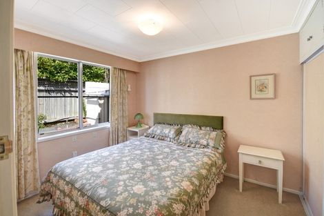 Photo of property in 117 Elgin Road, Kenmure, Dunedin, 9011