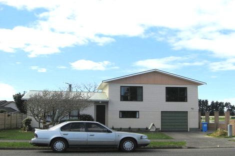 Photo of property in 41 Kennedy Drive, Levin, 5510