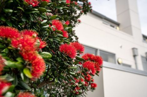 Photo of property in 1/12 Agra Crescent, Khandallah, Wellington, 6035