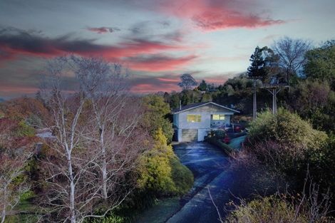 Photo of property in 6 Domain Road, Waipawa, 4210