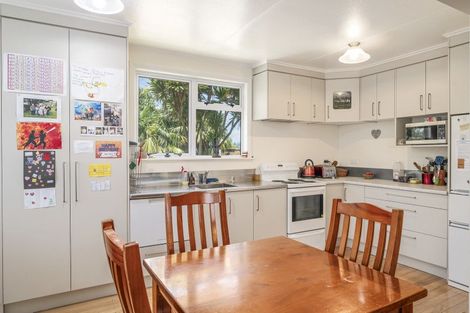 Photo of property in 9 London Terrace, Putaruru, 3411