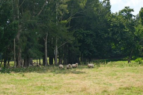 Photo of property in 89b Hawthornden Drive, Tikitere, Rotorua, 3074