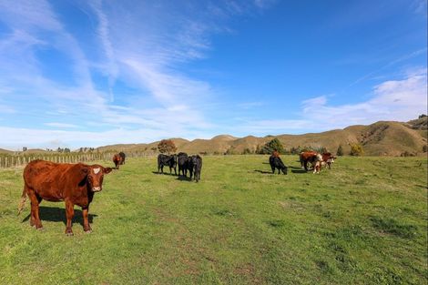 Photo of property in 75 Taranui Road, Ohura, 3926