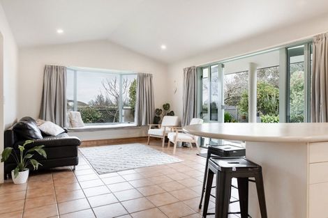 Photo of property in 3 Alexandra Grove, Richmond, 7020