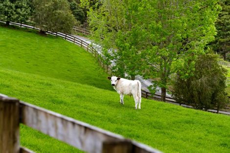 Photo of property in 817 Kaipara Flats Road, Kaipara Flats, Warkworth, 0981