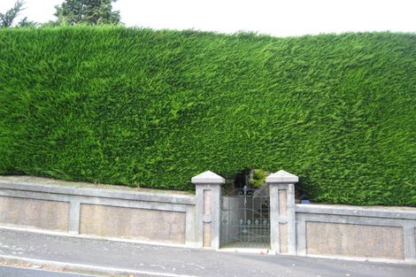 Photo of property in 74 Preston Crescent, Belleknowes, Dunedin, 9011