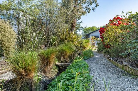 Photo of property in 45a Mcfadden Drive, Mosgiel, 9024