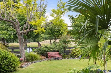 Photo of property in 62 River View Road, Morrinsville, 3300