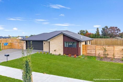 Photo of property in 46 Benn Street, Amberley, 7481