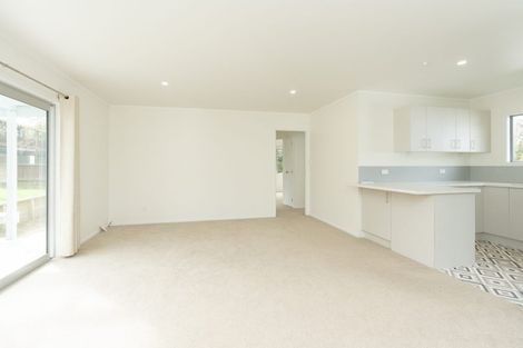 Photo of property in 46a Pelorus Street, Glenview, Hamilton, 3206