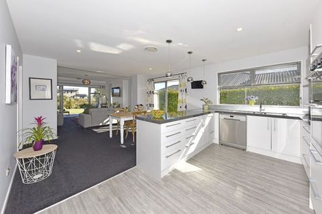 Photo of property in 48 Vernon Drive, Lincoln, 7608