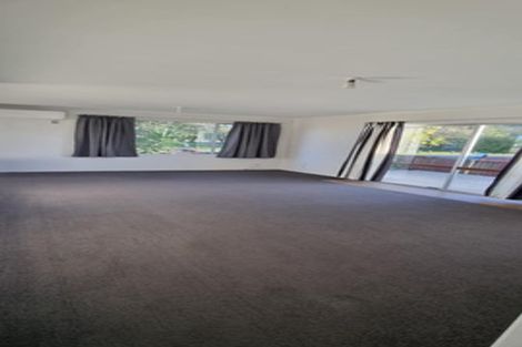 Photo of property in 384 Kahikatea Drive, Dinsdale, Hamilton, 3204