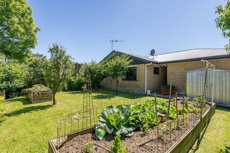 Photo of property in 50 Sussex Street, Masterton, 5810