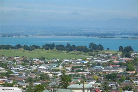 Photo of property in 43 Tamaki Street, Tahunanui, Nelson, 7011