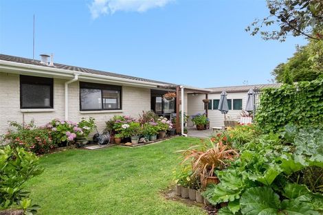 Photo of property in 100b Boucher Avenue, Te Puke, 3119