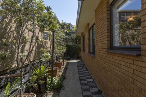 Photo of property in 38a The Drive, Brookfield, Tauranga, 3110