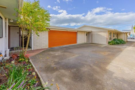 Photo of property in 28b Porangahau Road, Waipukurau, 4200